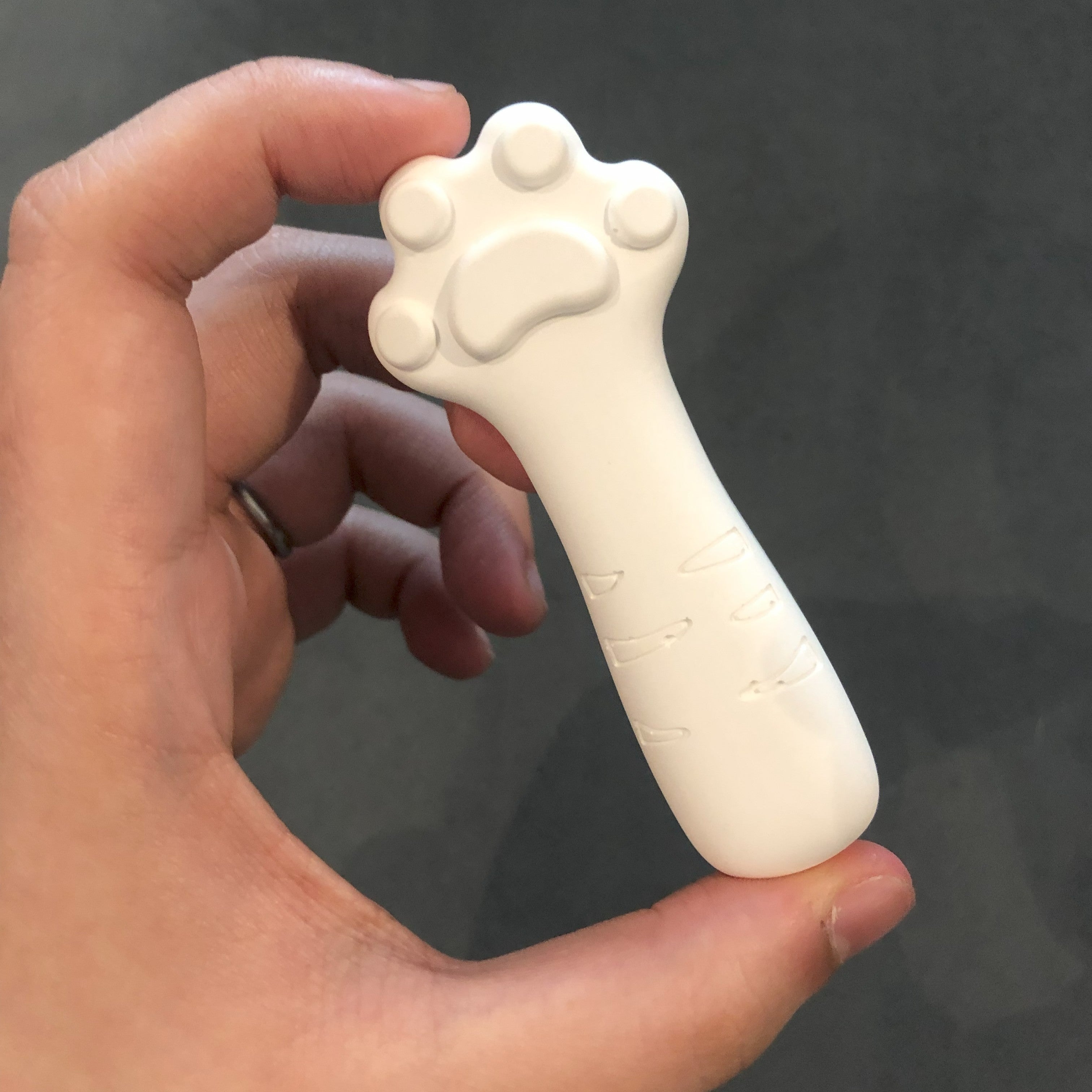 Cat Paw Drying Strip | Natural Diatomaceous Earth Moisture Absorber for Pet and Human Snacks