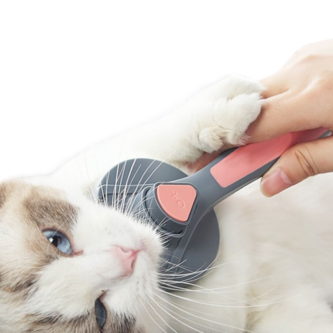 Furry Cat Brush | Self-Cleaning Grooming Brush for Loose Hair, Tangles, and Massaging Cats