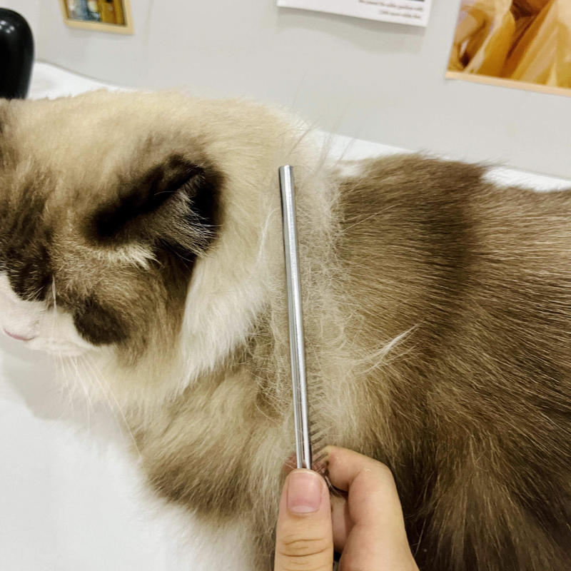 Stainless Steel Cat Comb | Dual-Density Grooming Comb for Tangled Hair and Sensitive Areas
