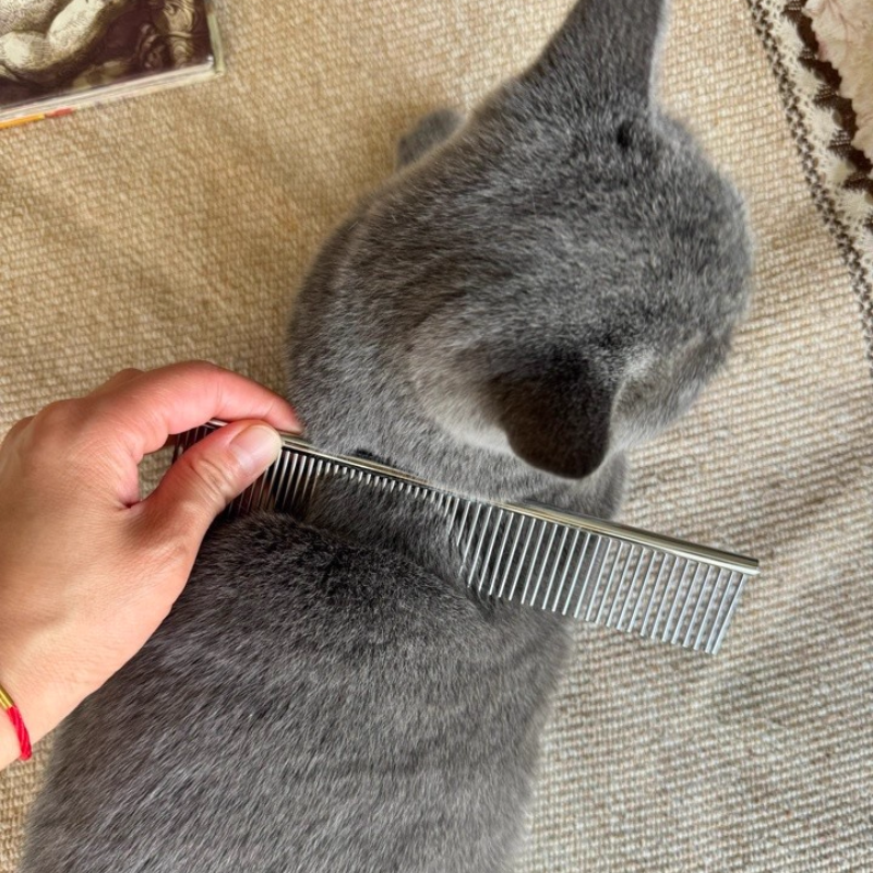 Stainless Steel Cat Comb | Dual-Density Grooming Comb for Tangled Hair and Sensitive Areas