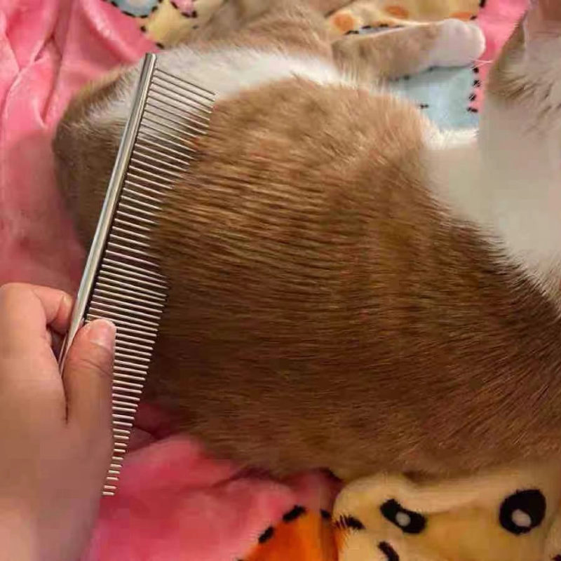 Stainless Steel Cat Comb | Dual-Density Grooming Comb for Tangled Hair and Sensitive Areas