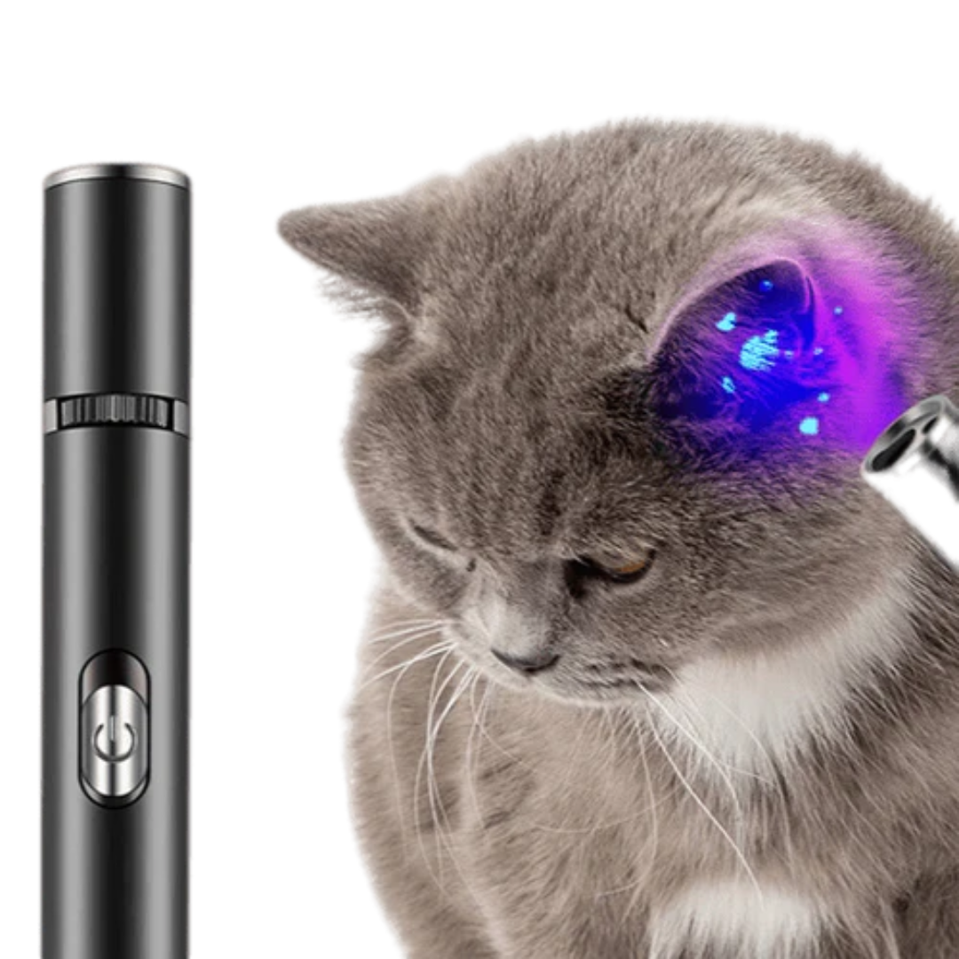 2-in-1 Cat Laser Pen | USB Rechargeable Interactive Toy with Blue Light Cat Health Spotter