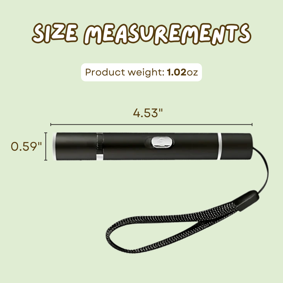 2-in-1 Cat Laser Pen | USB Rechargeable Interactive Toy with Blue Light Cat Health Spotter