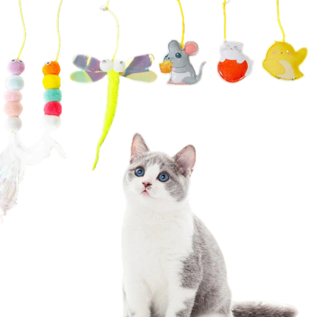 Dangling Cat Toy Set 6 PCS | Interactive Hanging Toys for Indoor Cats with Adjustable Height
