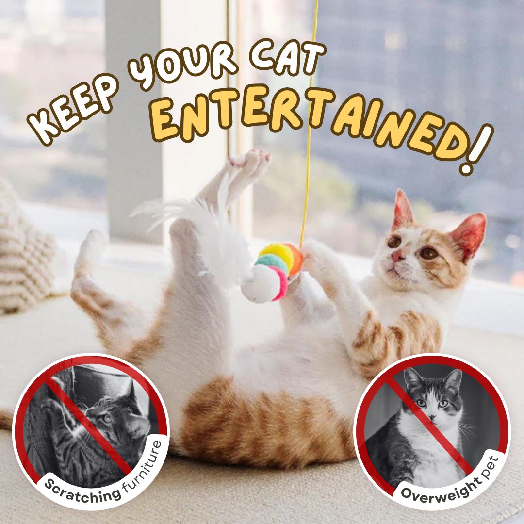 Dangling Cat Toy Set 6 PCS | Interactive Hanging Toys for Indoor Cats with Adjustable Height