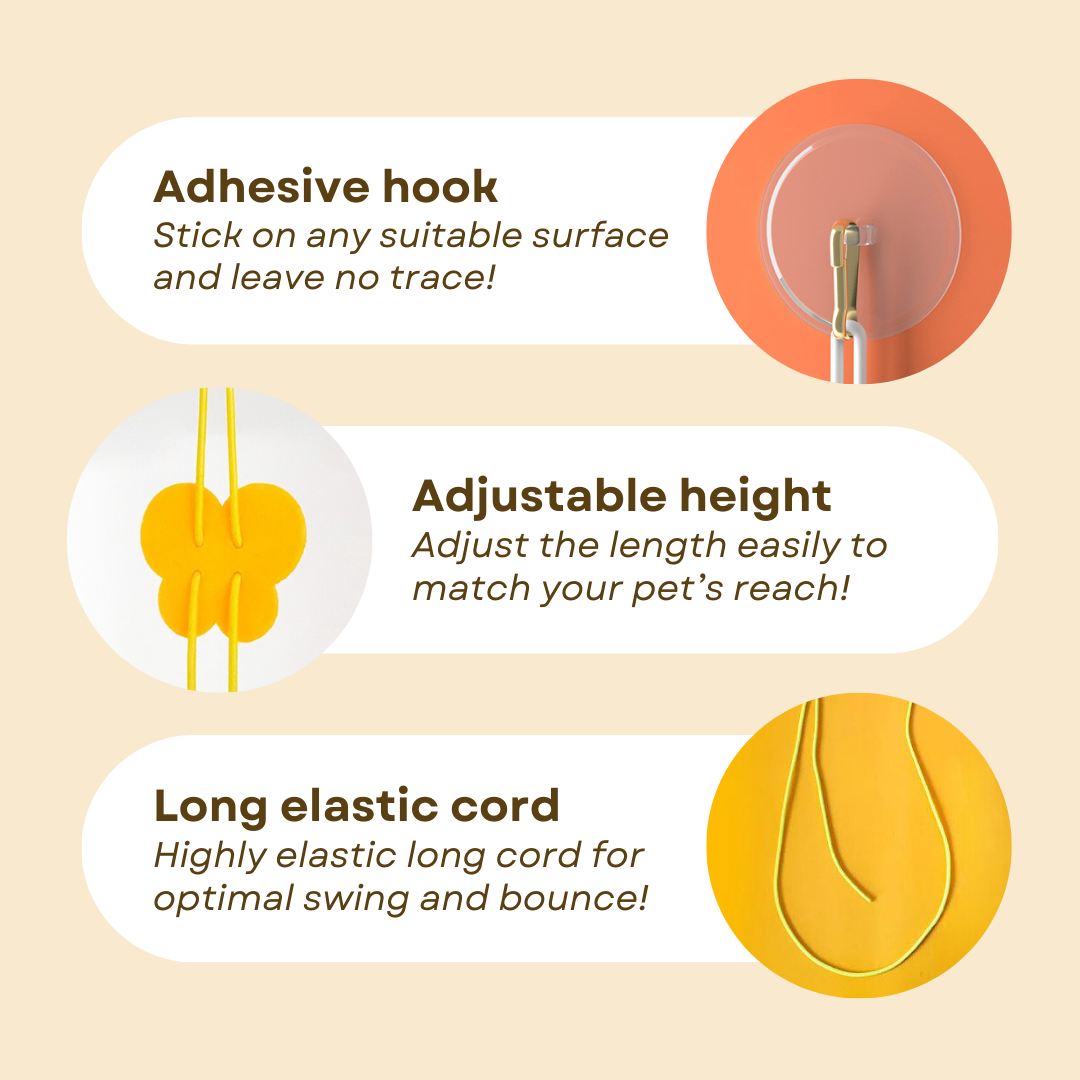 Dangling Cat Toy Set 6 PCS | Interactive Hanging Toys for Indoor Cats with Adjustable Height