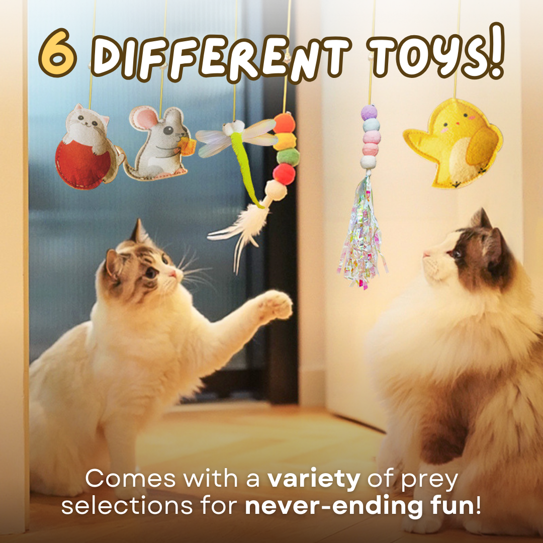 Dangling Cat Toy Set 6 PCS | Interactive Hanging Toys for Indoor Cats with Adjustable Height