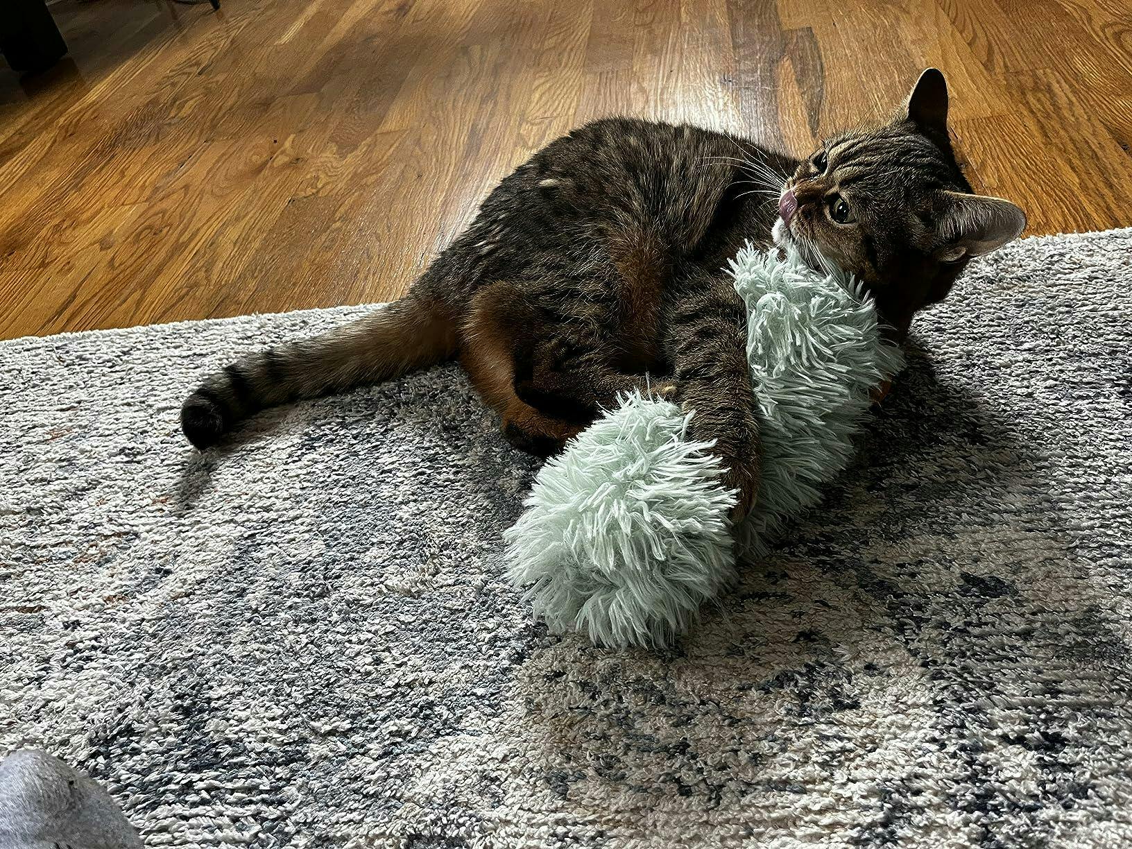 Tail Pillow Cat Toy | Plush Bite-Resistant Catnip Pillow for Play, Training, and Cuddling