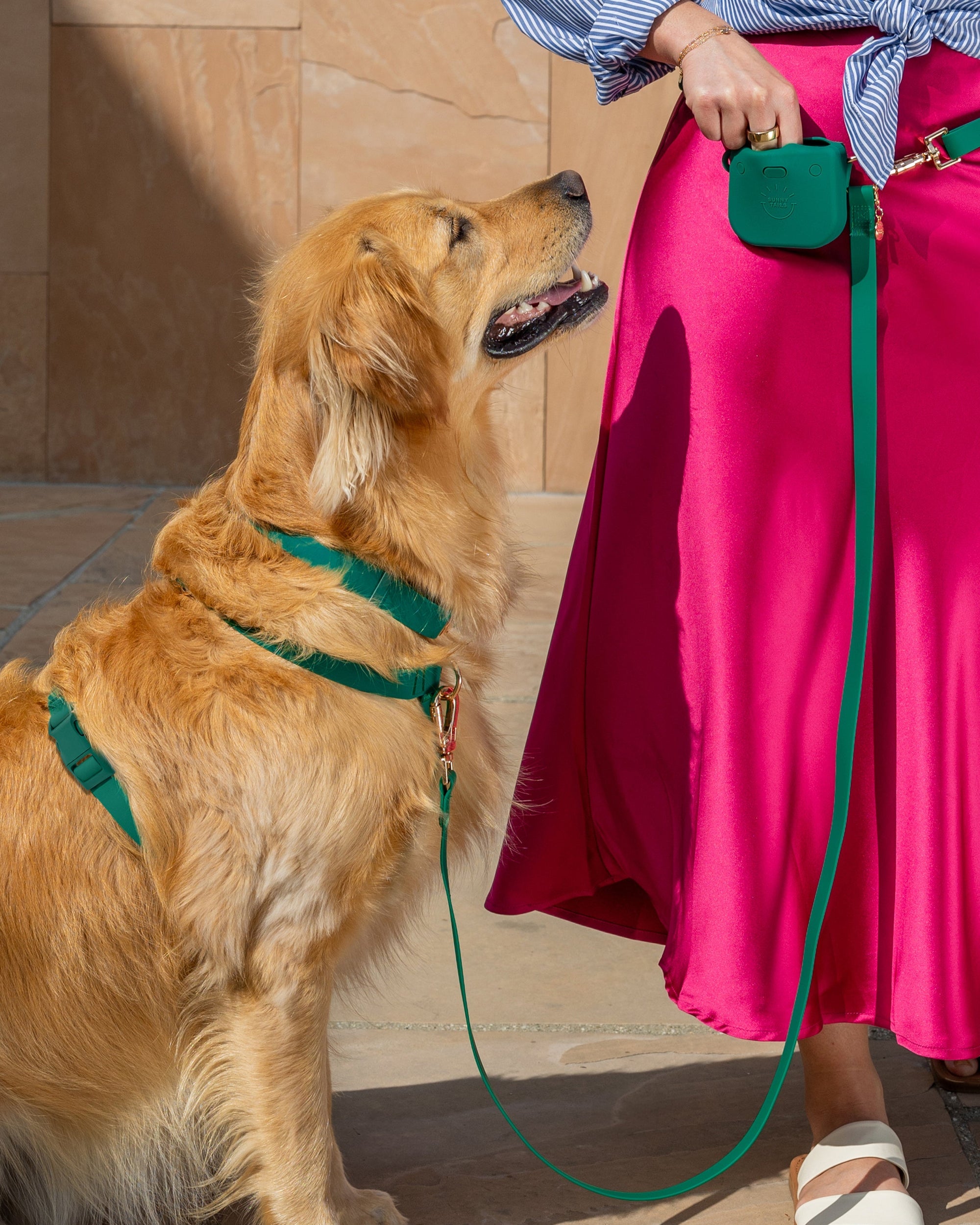 Meadow Green Waterproof Dog Collar | Adjustable Durable Pet Collar with Rust-Resistant Buckle for Small to Large Dogs