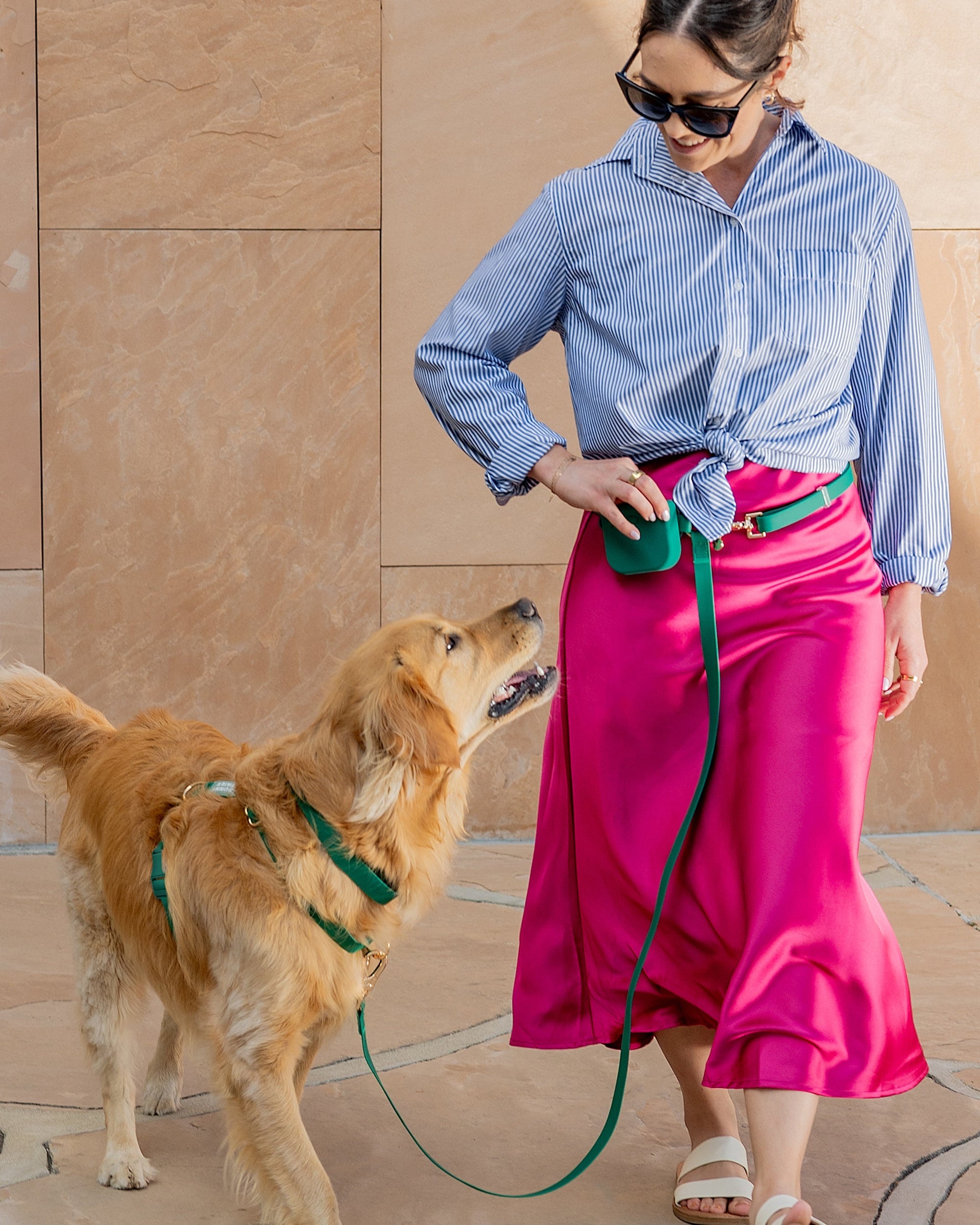 Meadow Green Waterproof Dog Collar | Adjustable Durable Pet Collar with Rust-Resistant Buckle for Small to Large Dogs