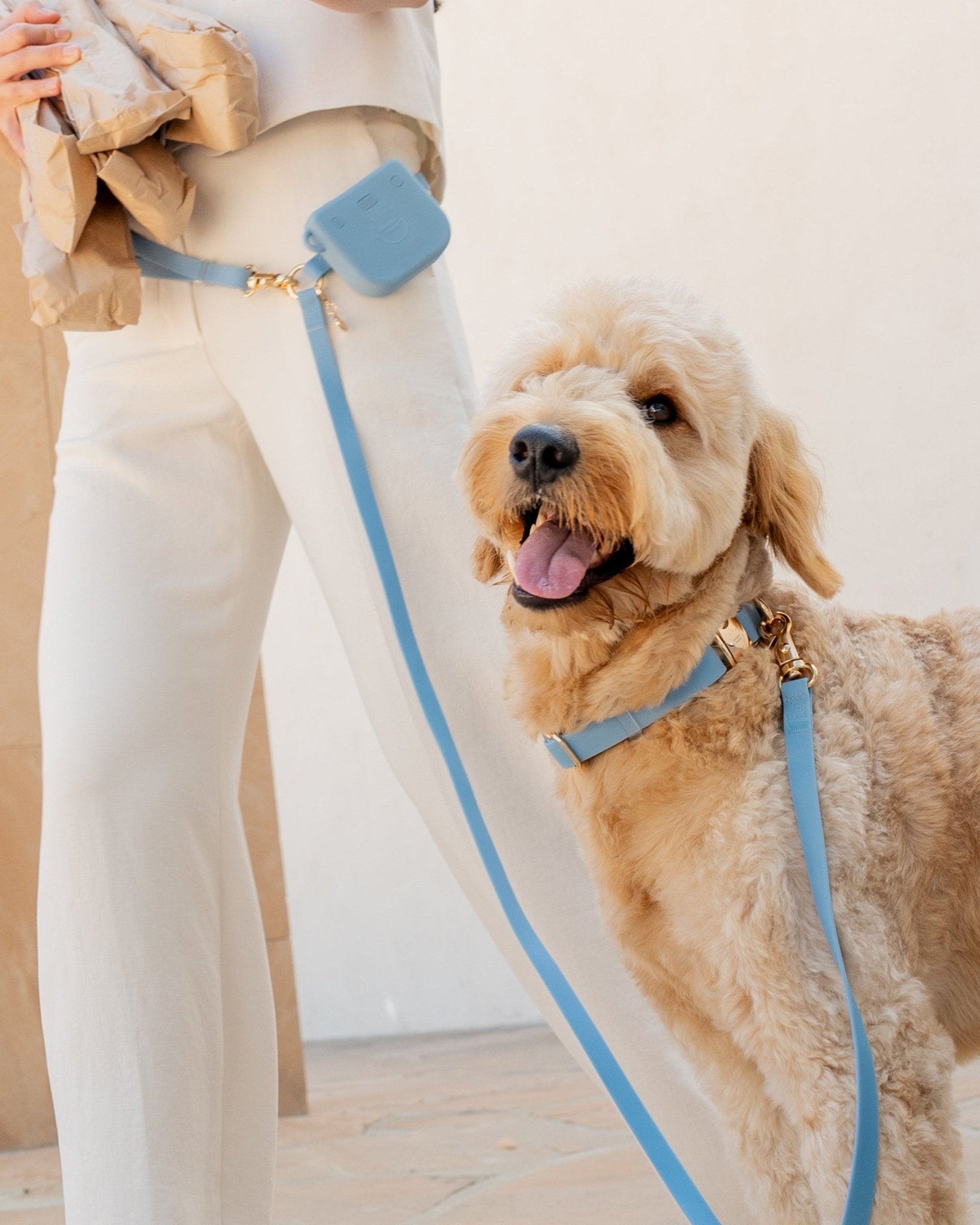 Malibu Blue Waterproof Dog Collar | Adjustable Durable Pet Collar with Rust-Resistant Buckle for Small to Large Dogs