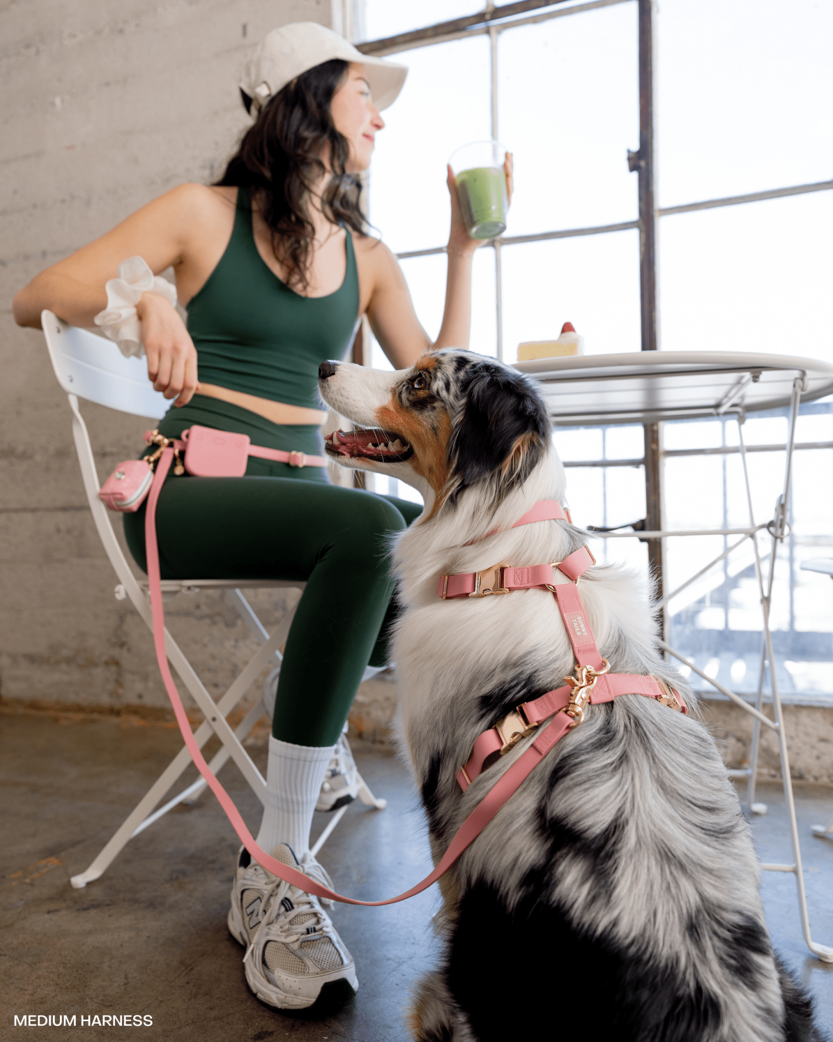 Durable Pink Waterproof Dog Collar for Small, Medium & Large Dogs