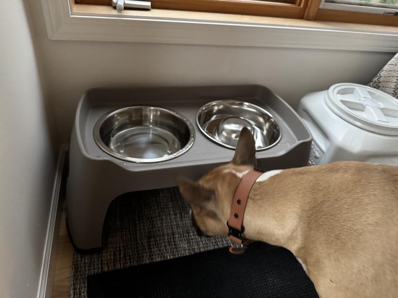 Premium Stainless Steel Slow-Feed Dog Bowl with Non-Slip Base, Medium Size, 5 Cups Capacity | Durable Pet Feeding Dish for Healthy Eating & Digestion