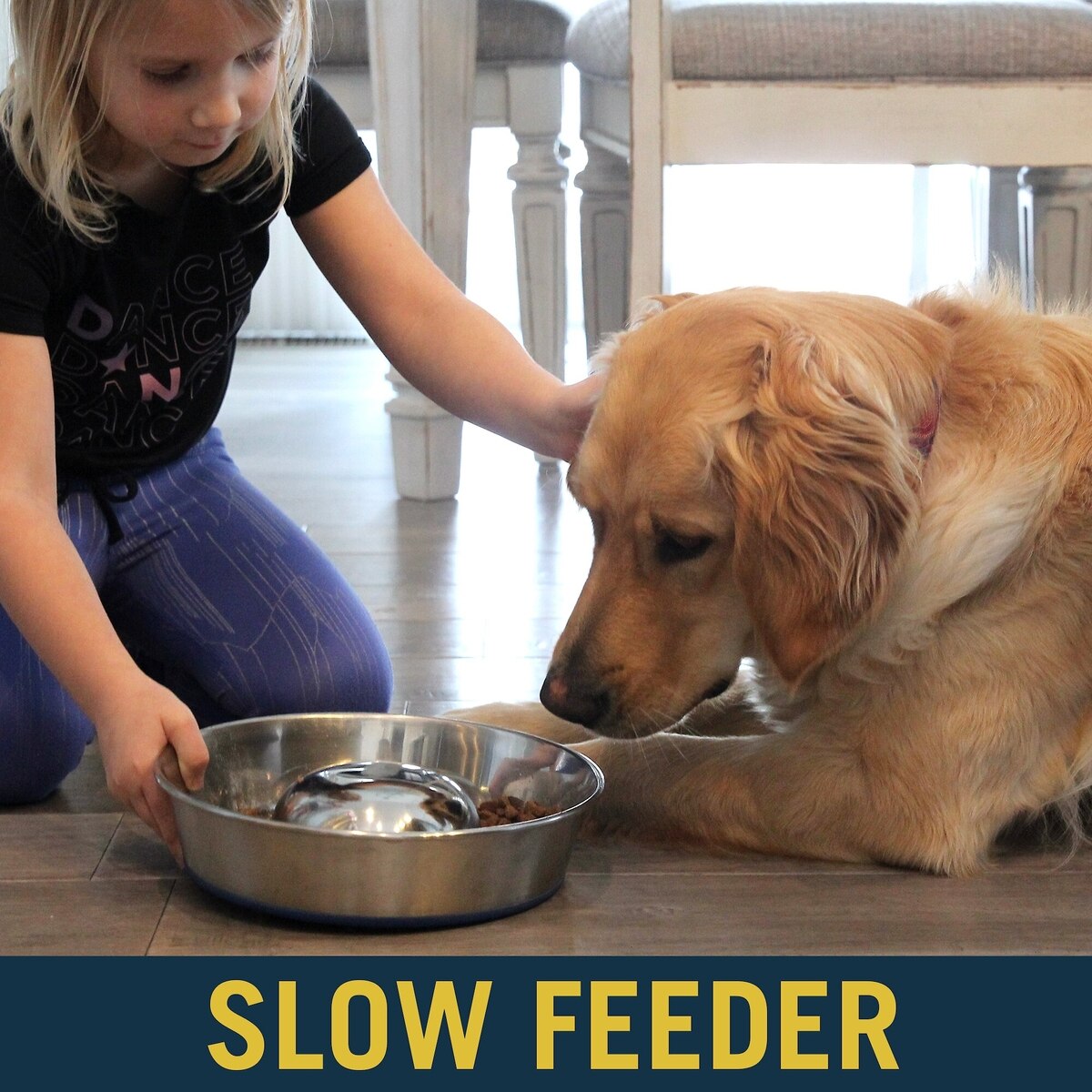 Premium Stainless Steel Slow-Feed Dog Bowl with Non-Slip Base, Medium Size, 5 Cups Capacity | Durable Pet Feeding Dish for Healthy Eating & Digestion