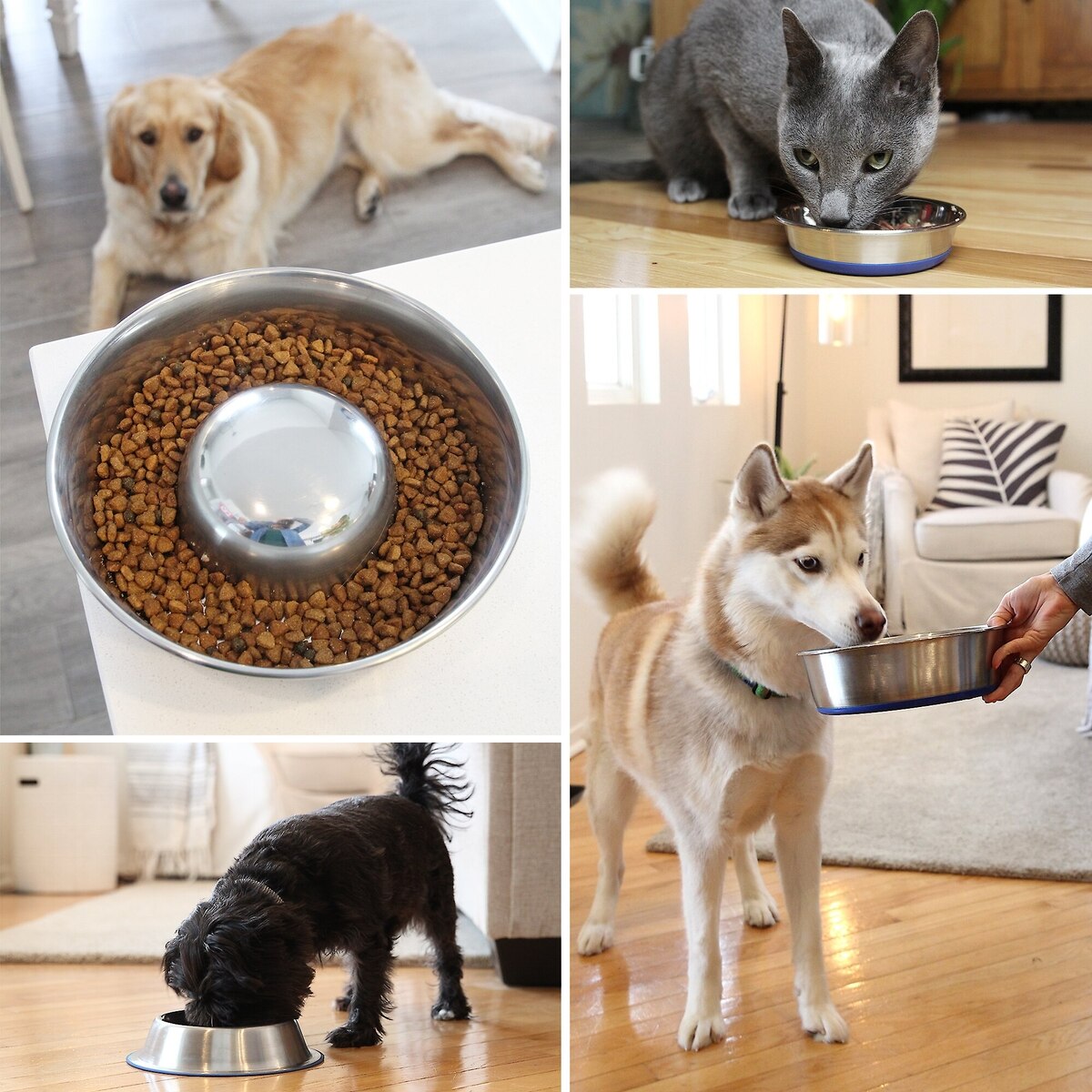 Premium Stainless Steel Slow-Feed Dog Bowl with Non-Slip Base, Medium Size, 5 Cups Capacity | Durable Pet Feeding Dish for Healthy Eating & Digestion
