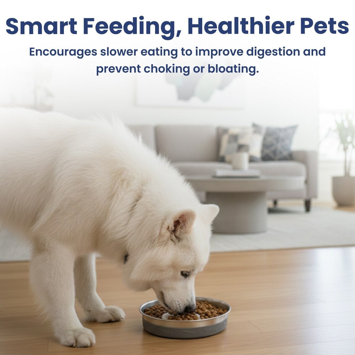 Premium Stainless Steel Four-Ridge Slow-Feed Dog Bowl with Removable Non-Slip Silicone Base | Durable 4-Cup Pet Feeder for Healthy Eating & Digestion