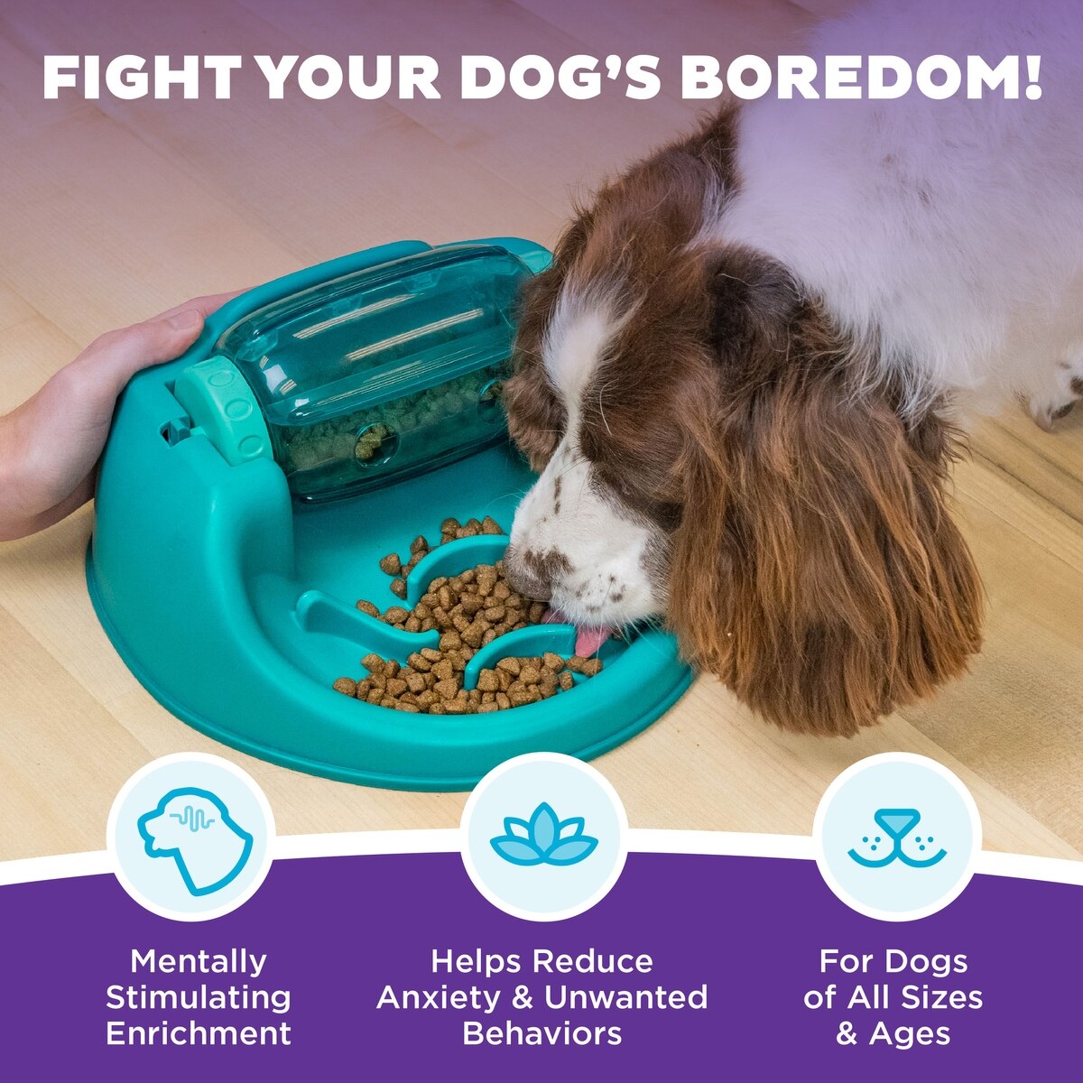 Interactive Spin N' Eat Dog Puzzle Feeder & Slow-Feed Toy, Mental Stimulation Game for Dogs, Green, One-Size, 2-Cup Capacity | Engaging Pet Activity for Anxiety Relief & Slower Eating