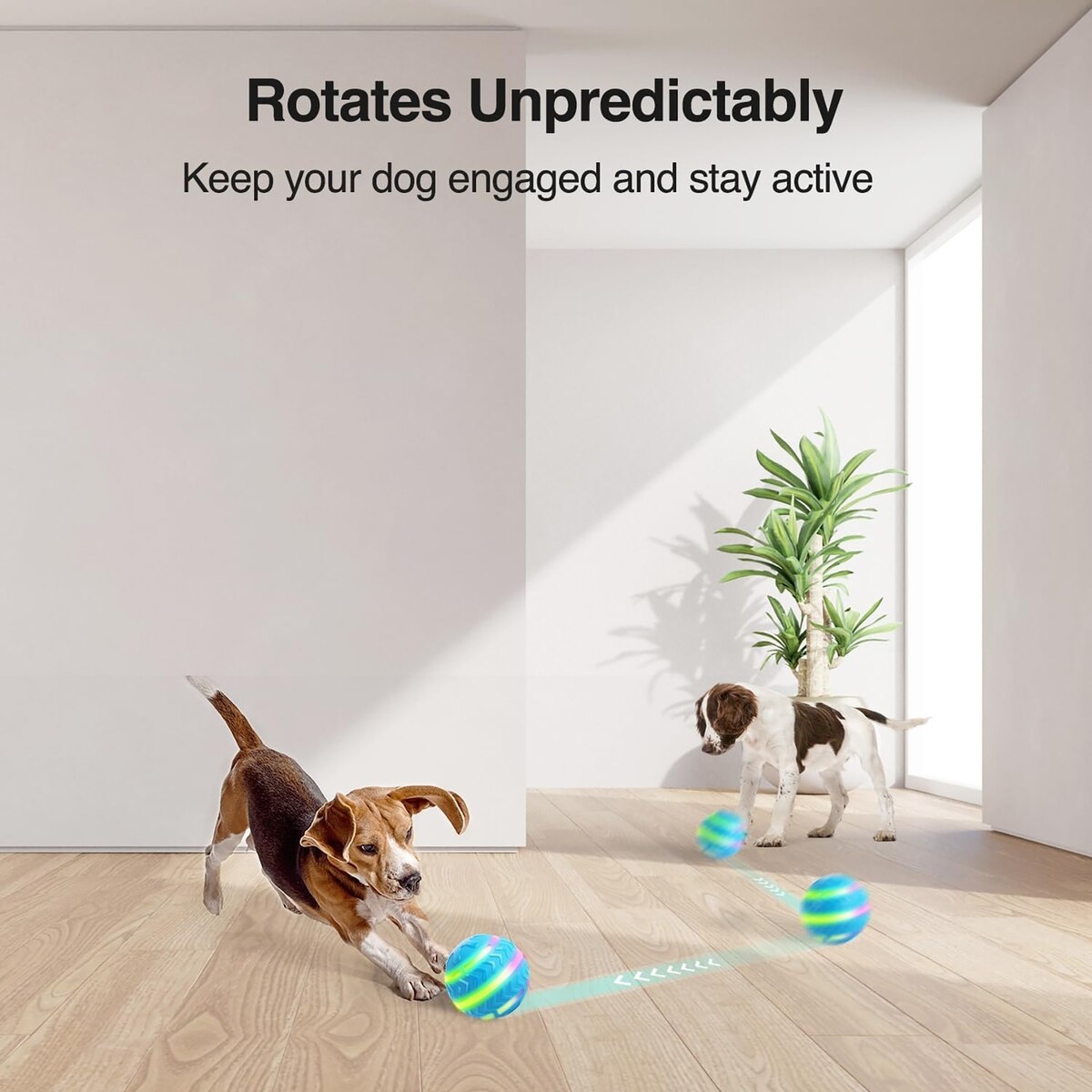 Motion Activated Interactive Dog Toy Ball with LED Lights, 3.3-Inch | USB Rechargeable, Irregular Rolling & Bouncing for Playtime Fun & Mental Stimulation