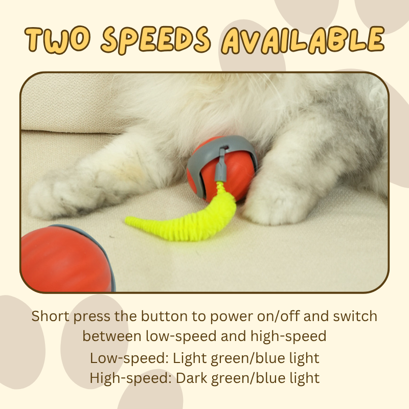 Interactive Speedy Tail Cat Toy | Motion Activated Rechargeable Toy with Dual Speed Modes for Cats