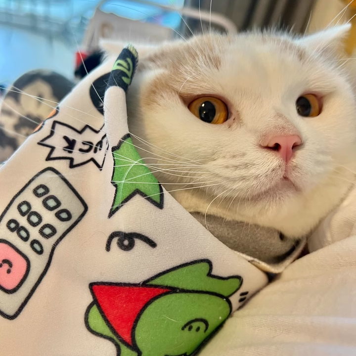 Purrito Style Cat Grooming Wrap | Soft Calming Restraint Blanket for Nail Trimming and Pet Care