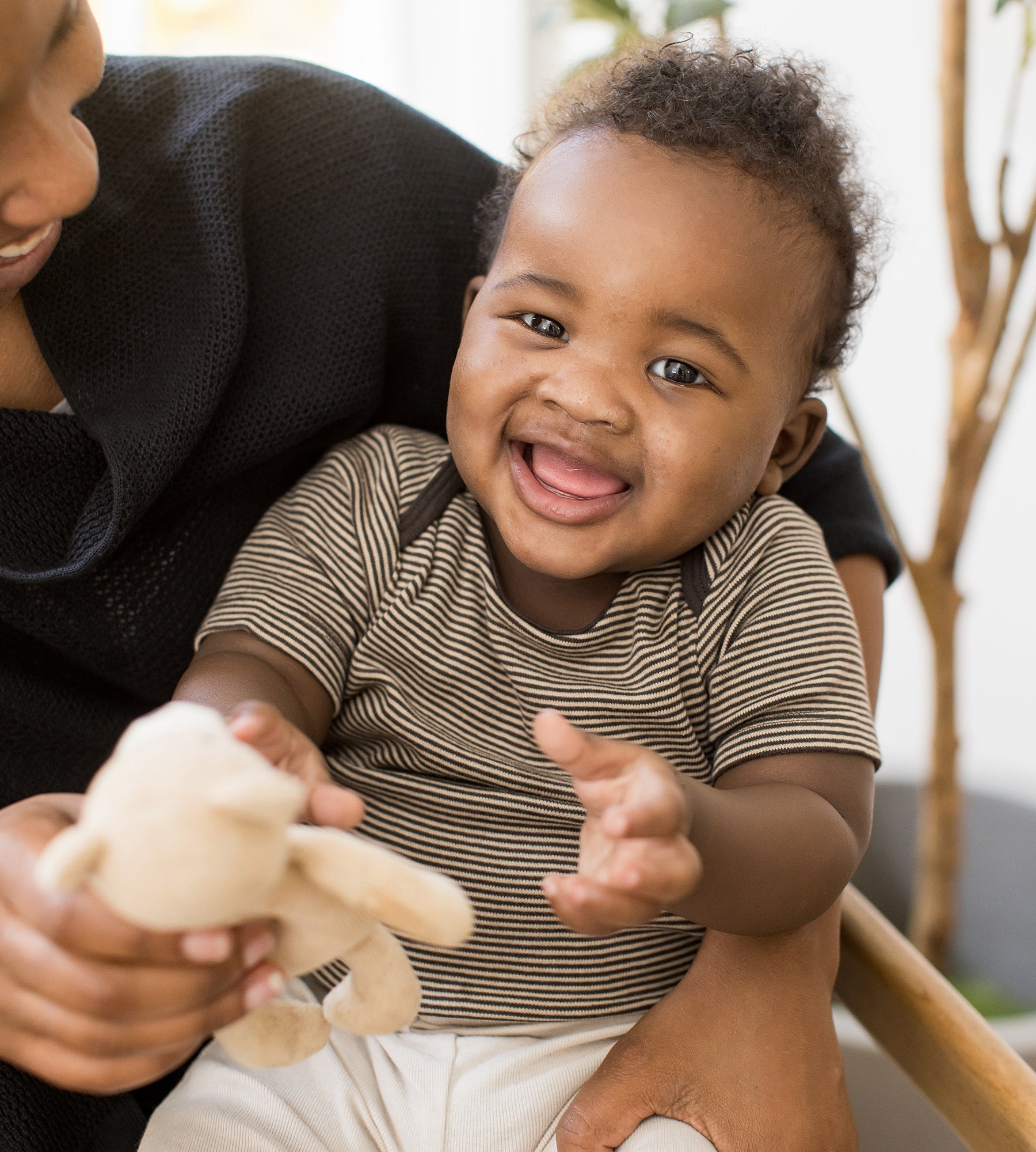 Swaying Branches Organic Short Sleeve Bodysuit & Pant Set 3 Pack