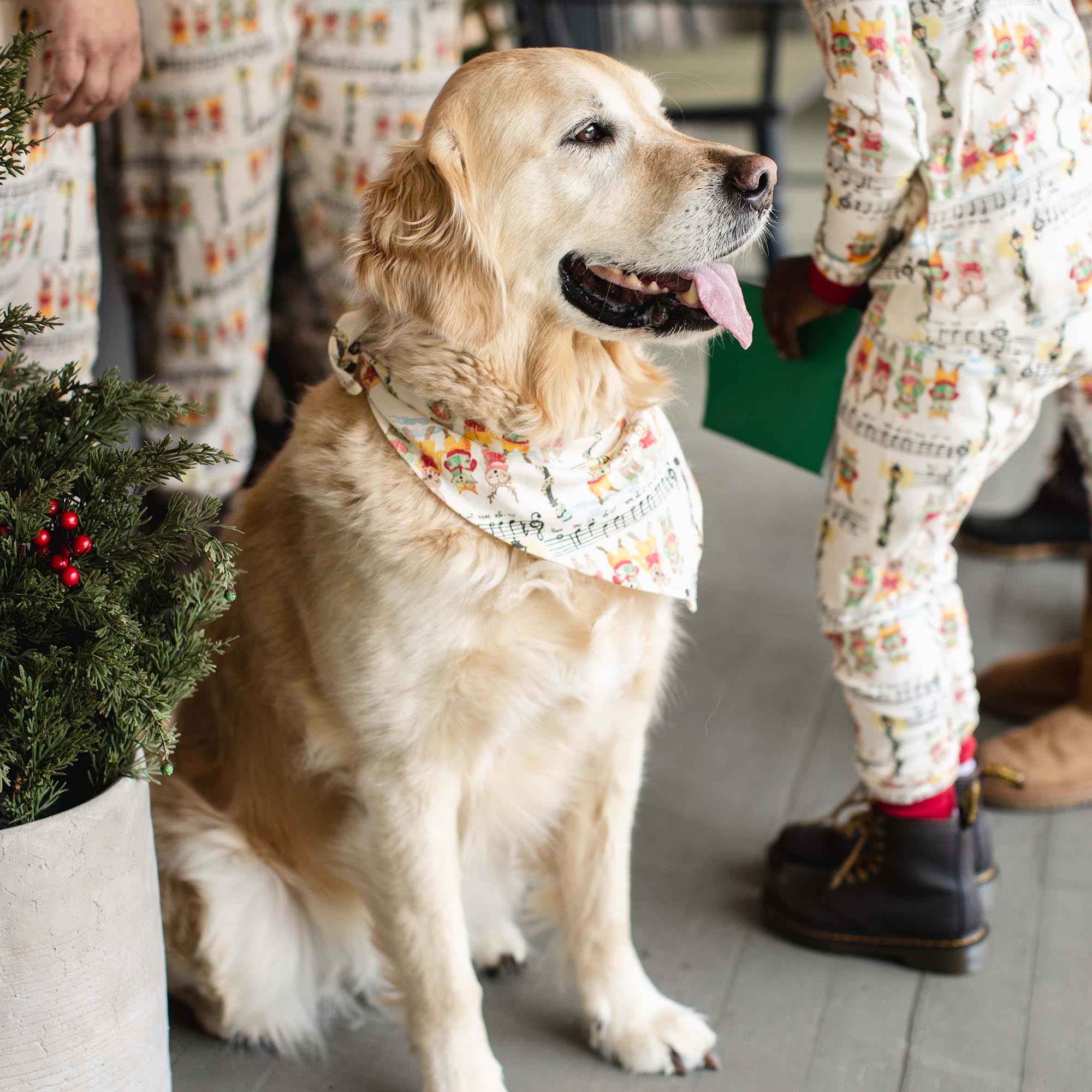 Sweet Carolers Matching Family Pajamas